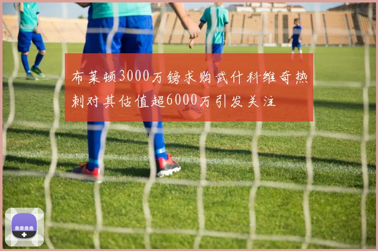 布莱顿3000万镑求购武什科维奇热刺对其估值超6000万引发关注